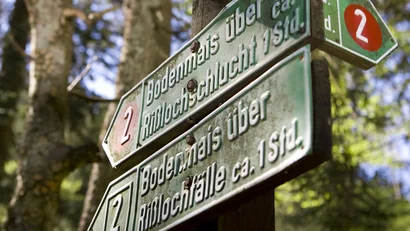 Wegweiser im Wald zur Rißlochsclucht und Rißlochfalle, je ca. 1 Stunde