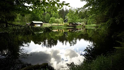 Spiegelung von Bäumen und Häusern auf ruhigem See in bewaldeter Landschaft