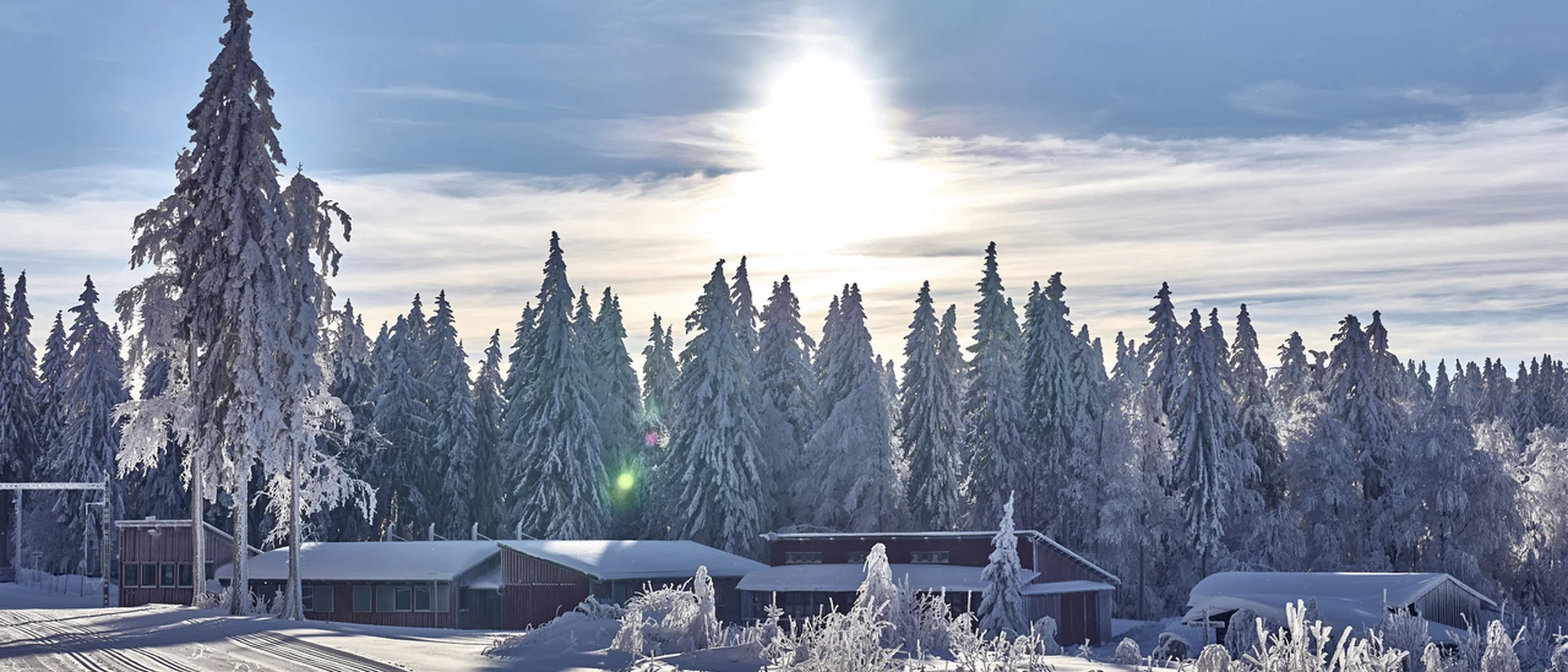 Verschneite Landschaft mit Häusern und Wald im Sonnenlicht